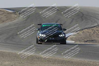 media/Nov-12-2023-GTA Finals Buttonwillow (Sun) [[806b9a7a9a]]/Group 2/Session 1 (Phil Hill)/